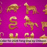 An illustration of the 12 Chinese zodiac animals in gold, decorated with floral patterns, set against a vibrant pink background with a wavy design. The image represents the lucky color for 2025 according to Feng Shui, with each animal symbolizing different attributes of the zodiac signs.