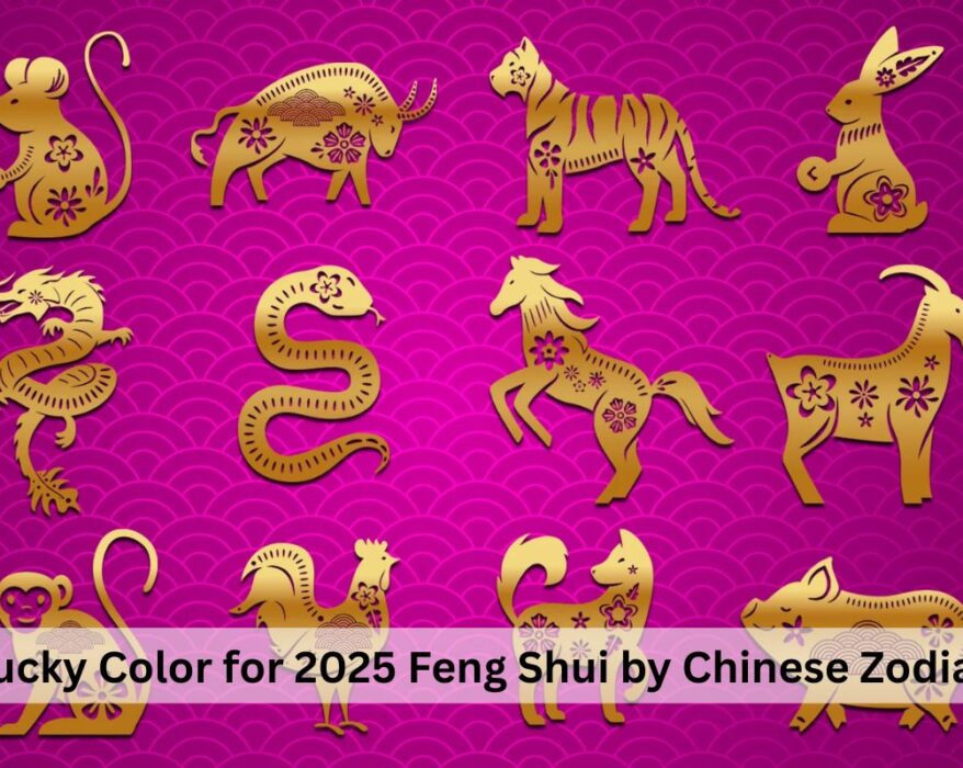 An illustration of the 12 Chinese zodiac animals in gold, decorated with floral patterns, set against a vibrant pink background with a wavy design. The image represents the lucky color for 2025 according to Feng Shui, with each animal symbolizing different attributes of the zodiac signs.