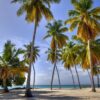 palmtalk