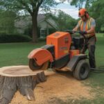 stump grinding costs